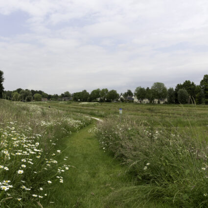 Turfweide Veenendaal