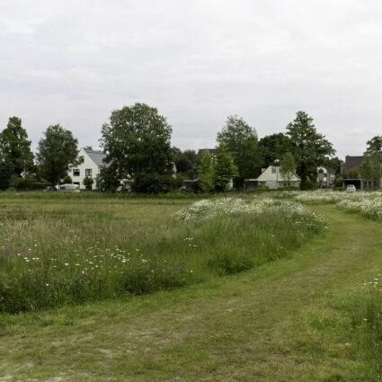 Turfweide Veenendaal