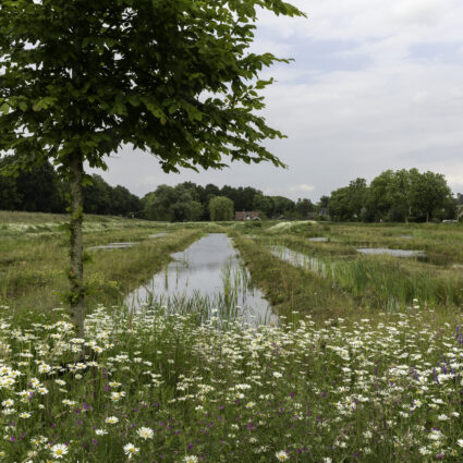 Turfweide Veenendaal