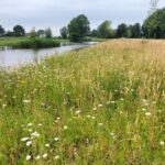 Landgoed Verboom