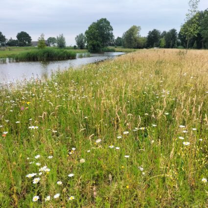 Landgoed Verboom